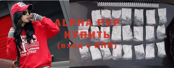 индика Белокуриха