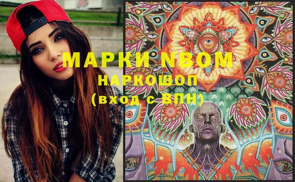 дживик Бронницы