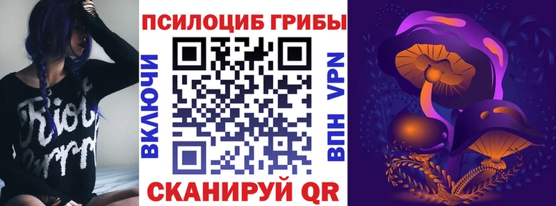 как найти закладки Велиж Псилоцибиновые грибы Psilocybine cubensis